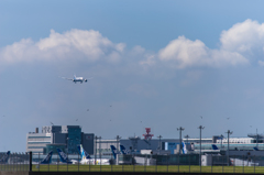 NIKON D810-20150620-085615-0