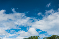 NIKON D810-20150822-090210-0