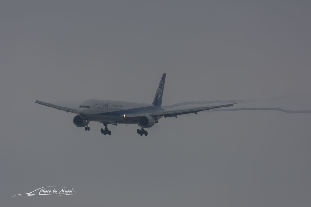 NIKON D7200-20150830-120721-0