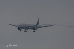 NIKON D7200-20150830-120721-0