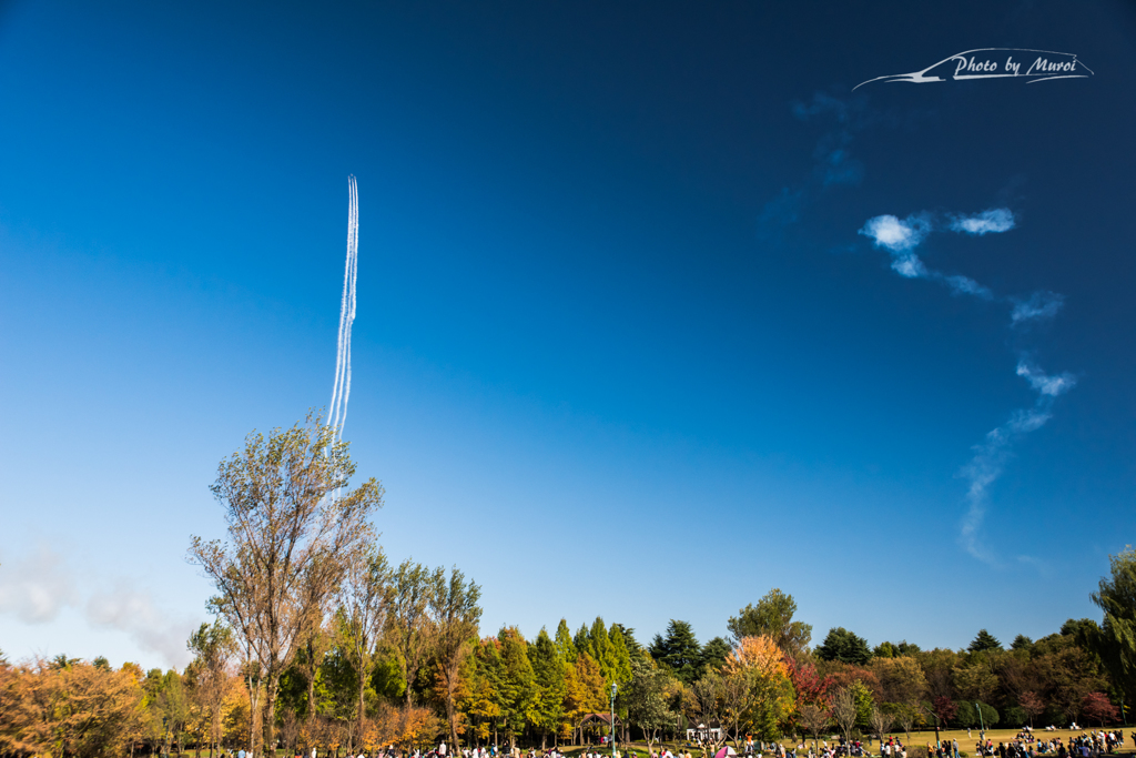 20151103-134834-0-NIKON D810