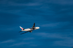 20151205-143005-0-NIKON D810