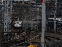 E-M5MarkII-20150606-150315-0