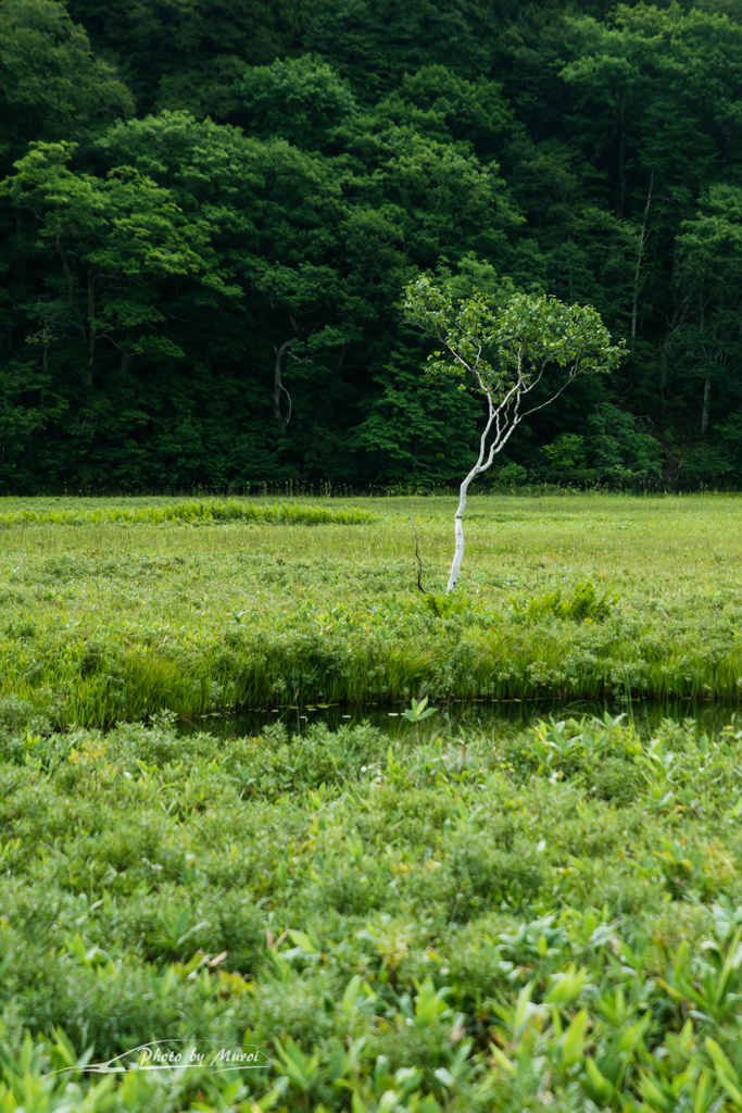 NIKON D810-20150822-070902-0