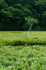 NIKON D810-20150822-070902-0