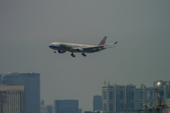 NIKON 1 V2-20150607-124822-0