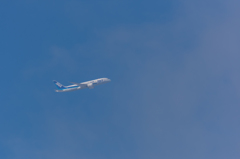 NIKON D7200-20150815-072551-0