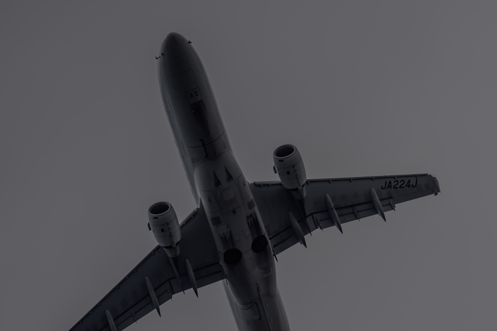 NIKON D810-20150620-084218-0