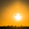 ニコンカレッジ20160124-164557-NIKON D810