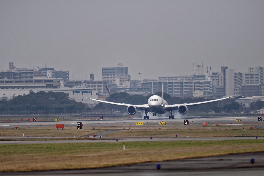 20151226-120248-0-NIKON D810