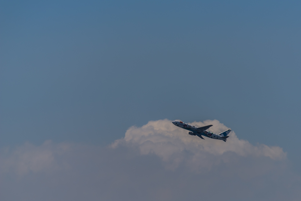 NIKON D810-20150620-100214-0