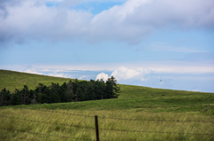 NIKON D810-20150719-113327-0