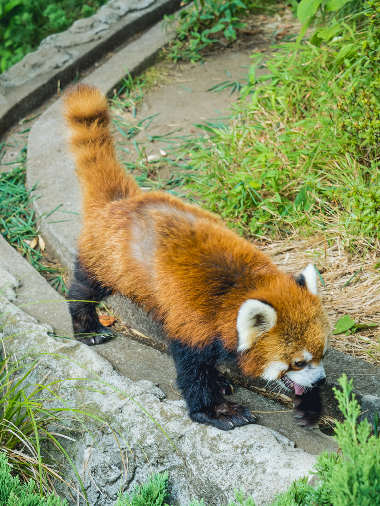 E-M5MarkII-20150814-115326-0