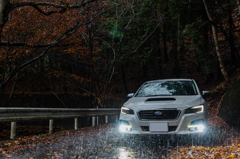 20151114-075006-0-NIKON D810