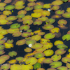 NIKON D810-20150822-104921-0