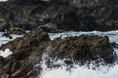 NIKON D7200-20150725-053656-0