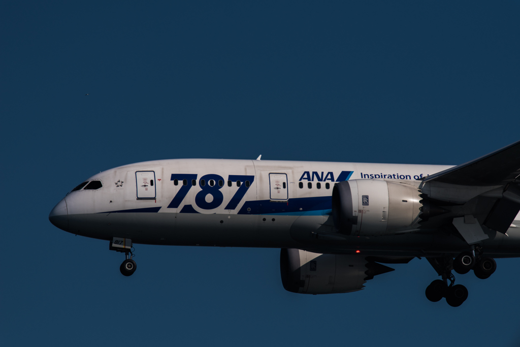 20160116-124847-0-NIKON D810