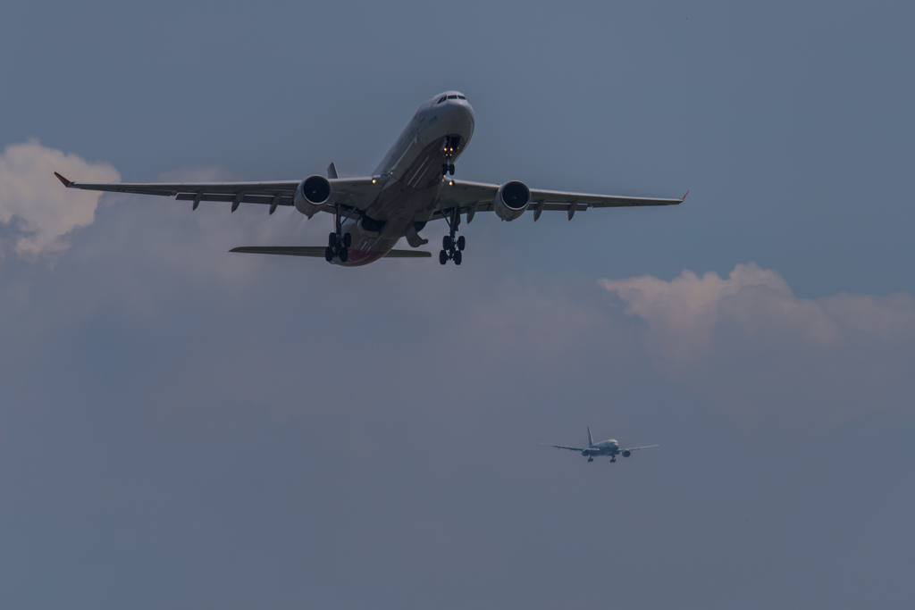 NIKON D810-20150620-122737-0