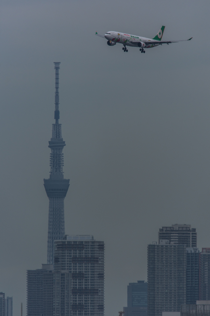 NIKON D7200-20150718-113746-0