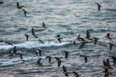NIKON D7200-20150725-045452-0