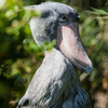 E-M5MarkII-20151008-120109-0