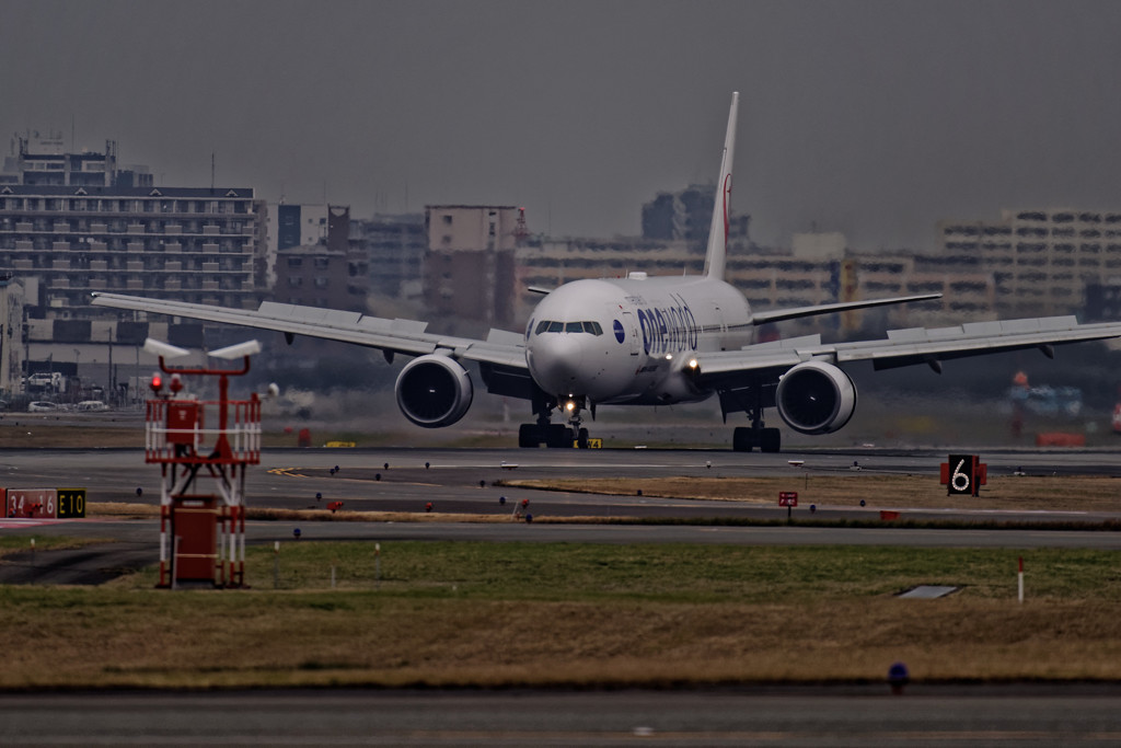 20151226-122400-0-NIKON D810