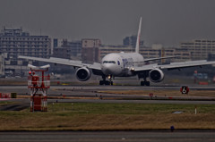 20151226-122400-0-NIKON D810