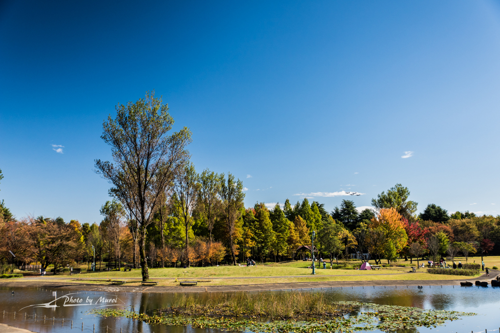 20151103-101637-0-NIKON D810