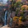 20151114-094427-0-NIKON D810