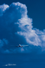 NIKON D7200-20150823-133144-0