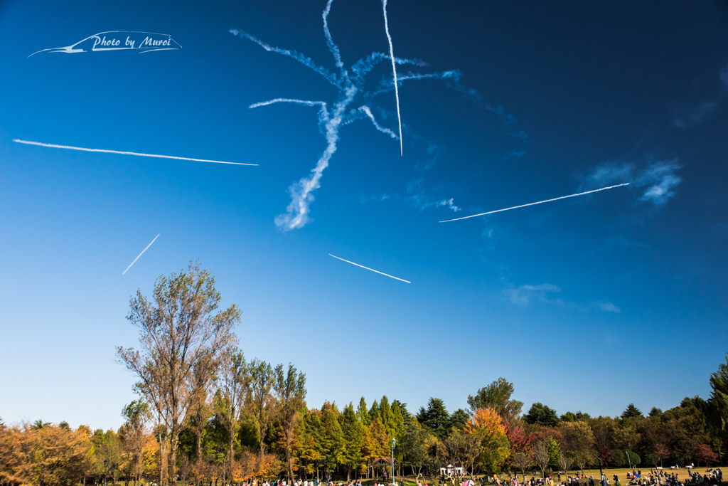20151103-140628-0-NIKON D810