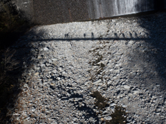 E-M5MarkII-20151025-074814-0