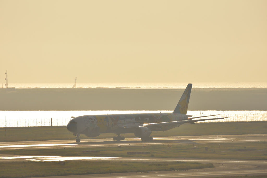 NIKON D7200-20151022-071349-0