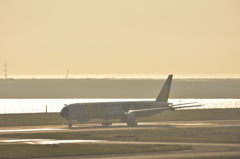 NIKON D7200-20151022-071349-0