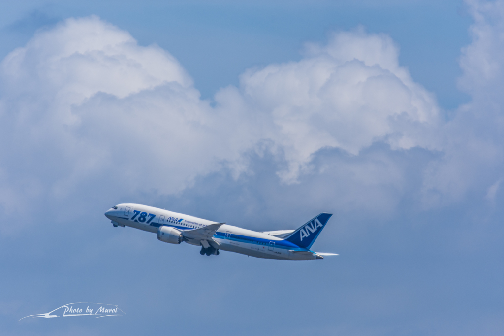 NIKON D7200-20150823-122430-0