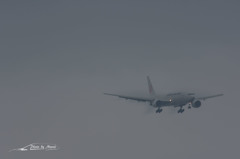 NIKON D7200-20150830-120830-0