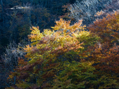 E-M5MarkII-20151025-103748-0