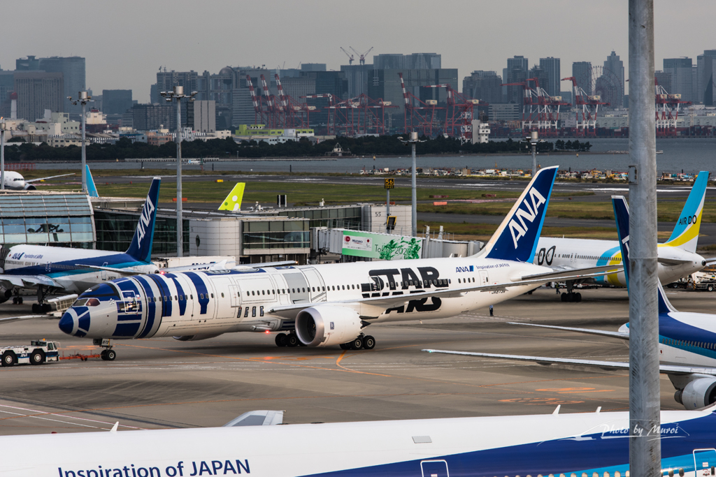 NIKON D810-20151031-071111-0