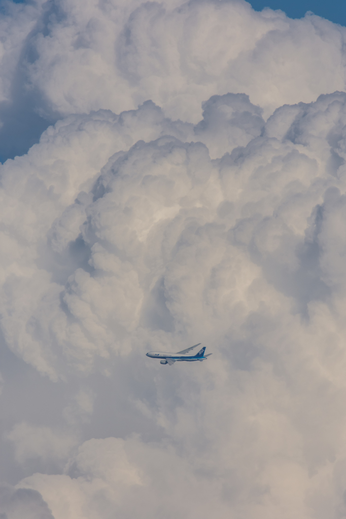 NIKON D7200-20150815-162931-0