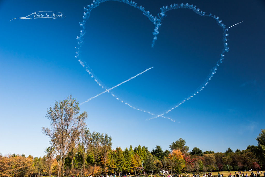 20151103-135448-0-NIKON D810