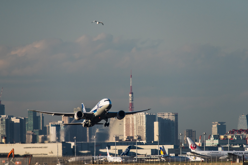 20151205-151058-0-NIKON D810