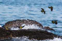 NIKON D7200-20150725-060021-1