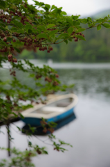 NIKON D810-20150704-065213-0