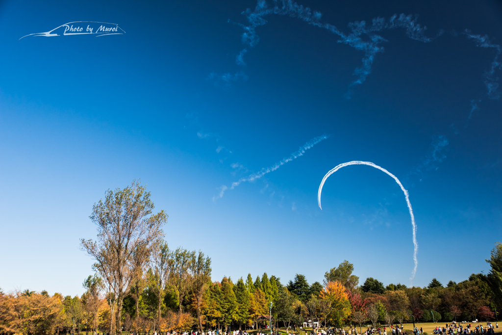 20151103-135542-0-NIKON D810