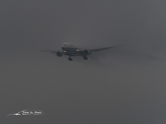 20151115-104429-0-E-M5MarkII