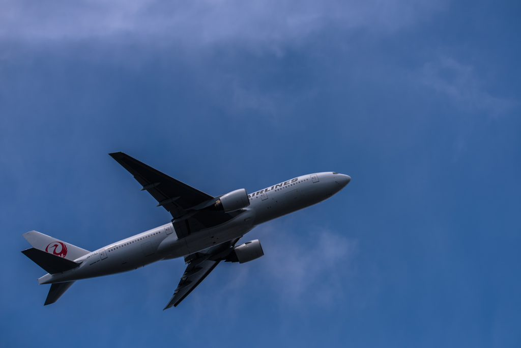 NIKON D810-20150620-095136-0