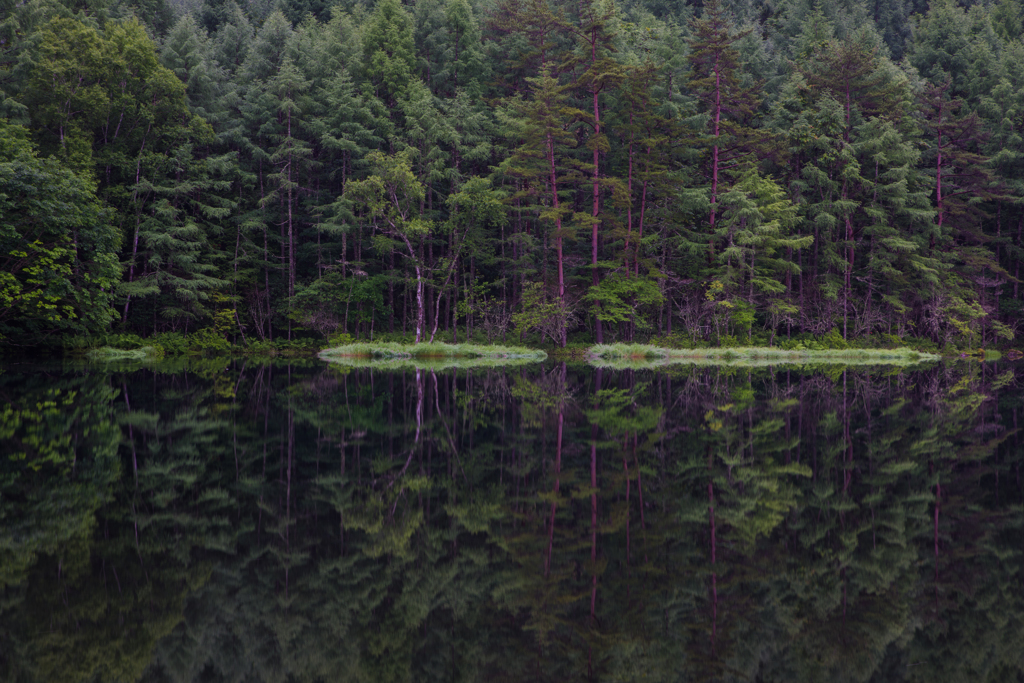 NIKON D810-20150704-050319-0