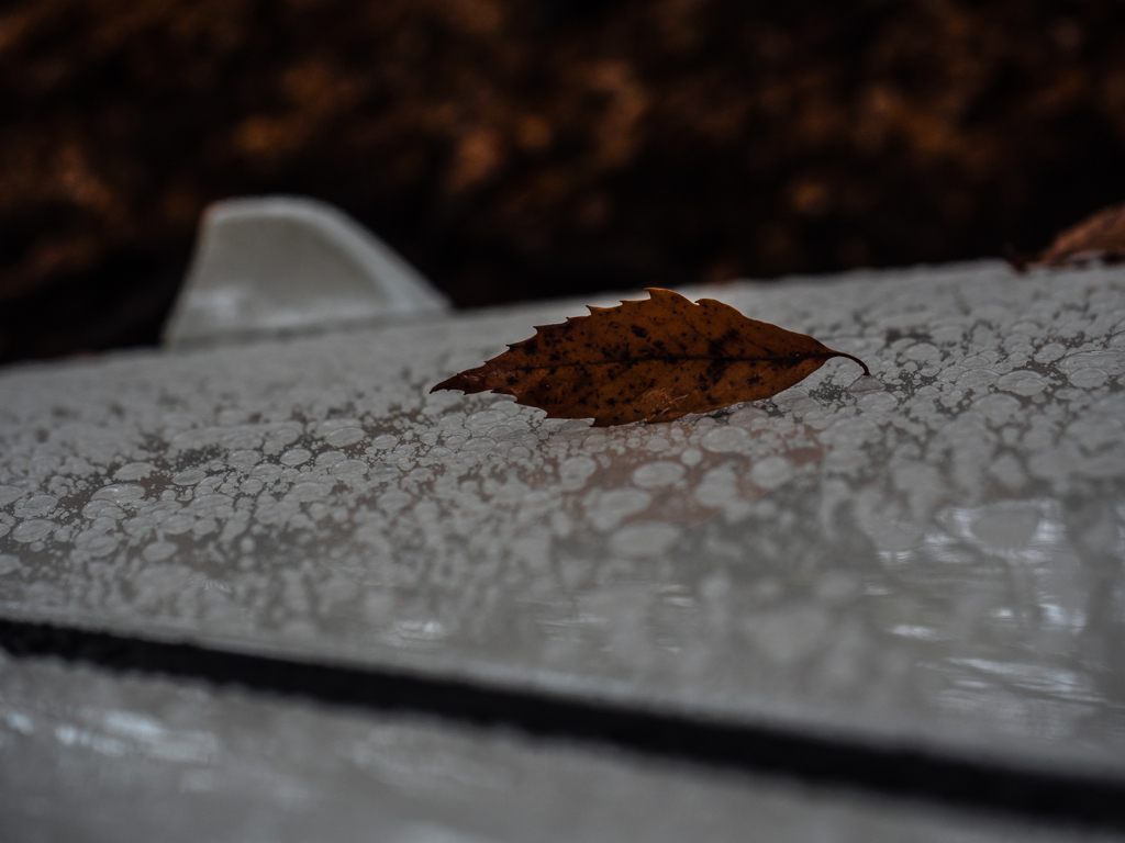 20151114-082446-0-E-M5MarkII