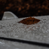 20151114-082446-0-E-M5MarkII