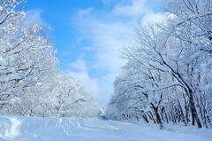 雪道